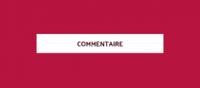 Commentaire de la Mission permanente de Russie auprès de l'Union Européenne sur la situation autour d'Alexey Navalny