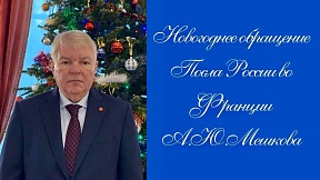 Новогоднее обращение Посла России во Франции А.Ю.Мешкова